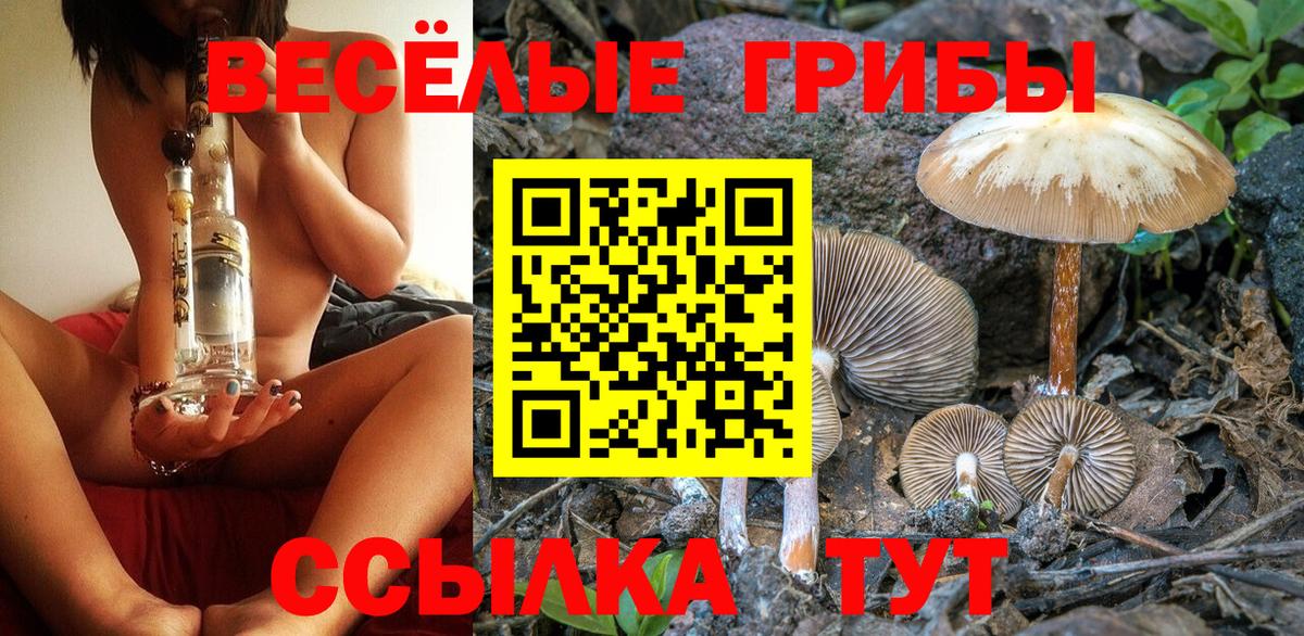 Галлюциногенные грибы мухоморы Зима