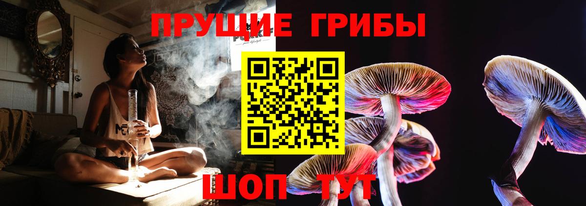 Псилоцибиновые грибы MAGIC MUSHROOMS  Вход с VPN  Зима 